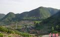山东临沂打造“四雁工程”荟萃各类人才助力乡村振兴