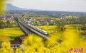 乘“开往春天的列车”赏最美油菜花海