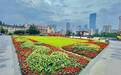 观花境 趣打卡 走上成都街头 解锁最美公园城市