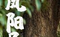 刘亦菲带火的云南小镇，后来怎么样了