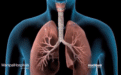 真实镜头揭秘：吸烟如何一点点毁掉你的肺