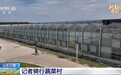 蔬菜大棚如何变身“超级工厂”？记者带你逛蔬菜村