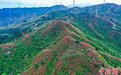 航拍江西武宁朱家山漫山杜鹃花开 绚丽灿烂美不胜收