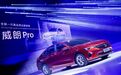 十万公里后的深扒——威朗Pro藏着什么秘密，我们一探究竟