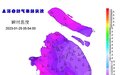 郊区-8℃！上海迎入冬以来最冷早晨，1月29日起气温逐步回升