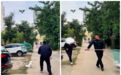 安徽亳州城管抓捕公共区域未牵绳狗，城管局：只是一个区的行动
