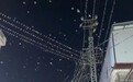 云南一地大量燕子夜间飞舞，地震局回应