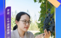 中国人的故事｜中国妇女十三大代表袁园：戈壁滩上种葡萄 美酒酿出甜日子