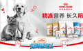 皇家宠物食品携手宠物医疗综艺《宠物医生2》治愈回归
