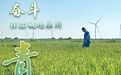 魅力山乡｜奋斗在盐碱地里的“新农人”