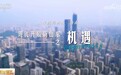 共和国巡礼｜透过新视角感受开放的山东 拥抱世界成为发展“基因”