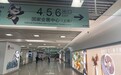 配置充足运力、增设接驳专线，进博会期间乘上海地铁出行需注意啥？