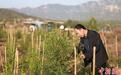 河北内丘一村民：植树造林18年让荒山披绿装