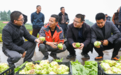 早市鲜食青菜头试种成功