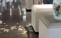 小孩打碎近12万瓷瓶被免赔，不能只当成一场“意外”