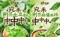 宛禾如何通过一碗荆芥土豆粉让“河南省菜”荆芥走到大众视野？