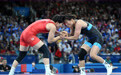巴黎奥运会丨摔跤——女子自由式76公斤级赛况(2)