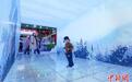 中外嘉宾北京共论冰雪经济如何“四季升温”