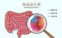 东岚生物：益生菌，生命的关键密码！你还敢忽视吗？