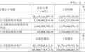 正式更名“衢州发展”，国资加持的新湖中宝成绩单亮眼