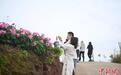 探访“重庆芍药第一村”：“花经济”助力乡村振兴
