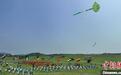国内外风筝爱好者齐聚武汉木兰草原同场竞技