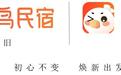 木鸟民宿品牌焕新，升级全新LOGO和品牌IP小木鸟