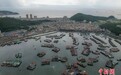 南海开渔前夕 广东闸坡渔港千帆待发