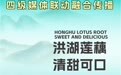 全国主流媒体明日走进洪湖莲藕品牌核心地，极目新闻荆州融媒等同步直播