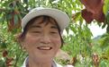 益阳有点“甜”③｜安化雪峰湖黄桃丰收，带来一场“甜蜜暴击”