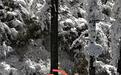 救援队谈“2名女子秦岭失联1死1伤”：幸存者用最后一丝力气吹口哨求救