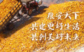 世界粮食日丨粮安天下，共建更好生活，共创美好未来 (2)