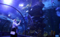 伊朗的恩泽利水族馆