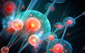 稀土科技新突破：近红外发光探针照亮生物体内部