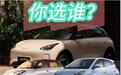 吉利星愿、比亚迪海鸥、五菱缤果三车对比，你选谁？