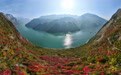 重庆巫山：三峡红叶美