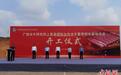 广西水牛研究所上思县国际合作水牛繁育研究基地开建