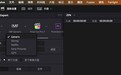 中国首家，爱奇艺联合DaVinci Resolve上线IMF母版输出模板
