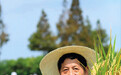 罗利军：把论文写在国情里