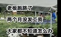 上海动物绿洲倒闭800只流浪猫无家可归？基地发声