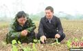湖南祁阳农技专家田间地头指导秋冬种
