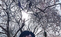 被工作室发文公开讨债，盘点仝卓商业版图：名下传播公司拟注销