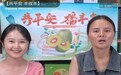 平安产险贵州分公司|让红心果实甜味飘香 助力黔货出山