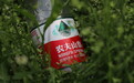 围剿“孤狼”：农夫山泉跌入舆论漩涡，饮用水江湖风云再起