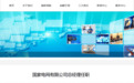 庞骁刚任国家电网有限公司总经理