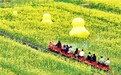 2025，我有一分蛙谷田