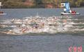全国200余名马拉松游泳运动员浙江柯城角逐