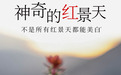 相宜本草与“红景天”的14年：深耕成分原料技术，助力女性美得健康