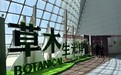 看稻、茶、橘如何走向世界，中国航海博物馆呈现新展
