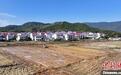 江西南昌：推进高标准农田建设 促进农业提质增效